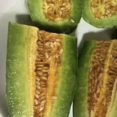 网红晨曦吃瓜,揭秘网红圈幕后故事